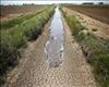 نگاهی به سیاست‏های حمایتی در قبال بحران آب در بخش کشاورزی
